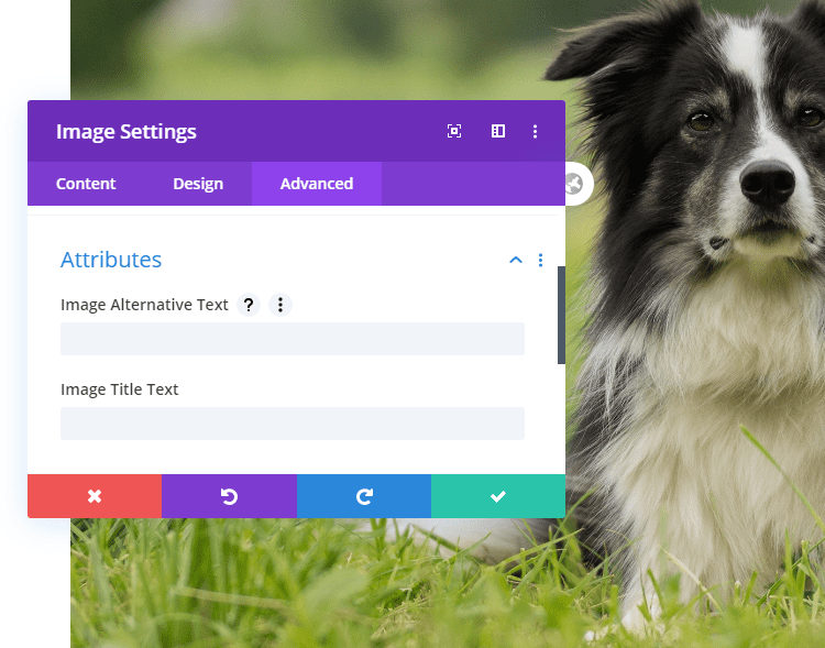 Divi Image Module alt text