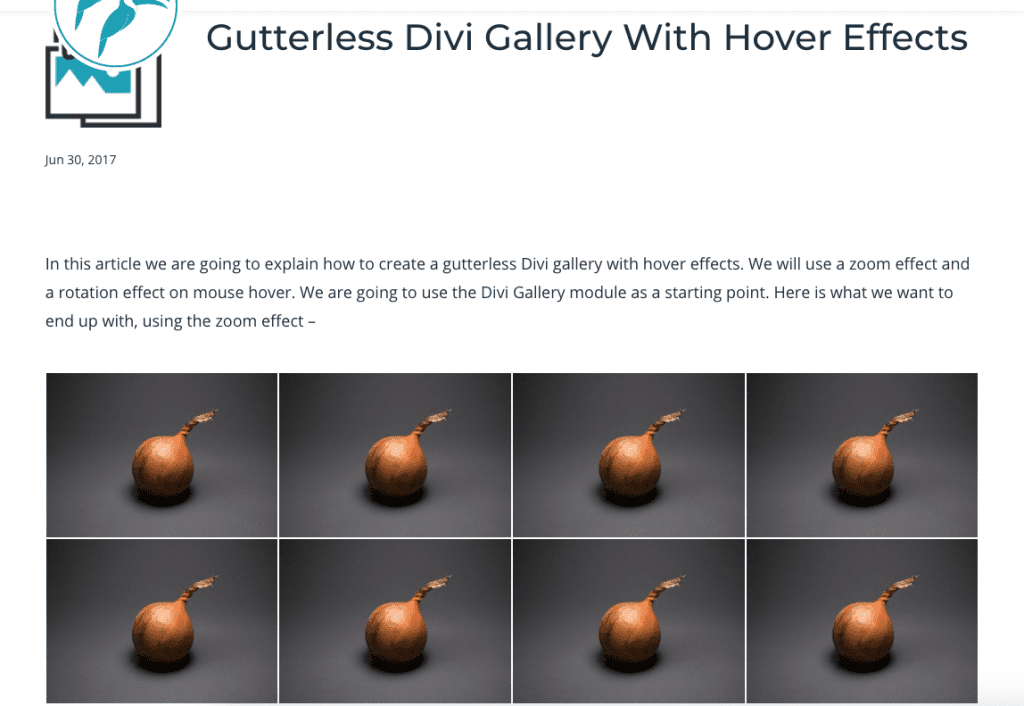 Gutterless Divi Gallery With Hover Effects
