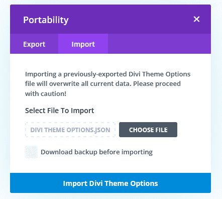 Divi theme options import window