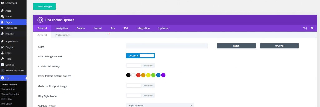 Import Divi theme options