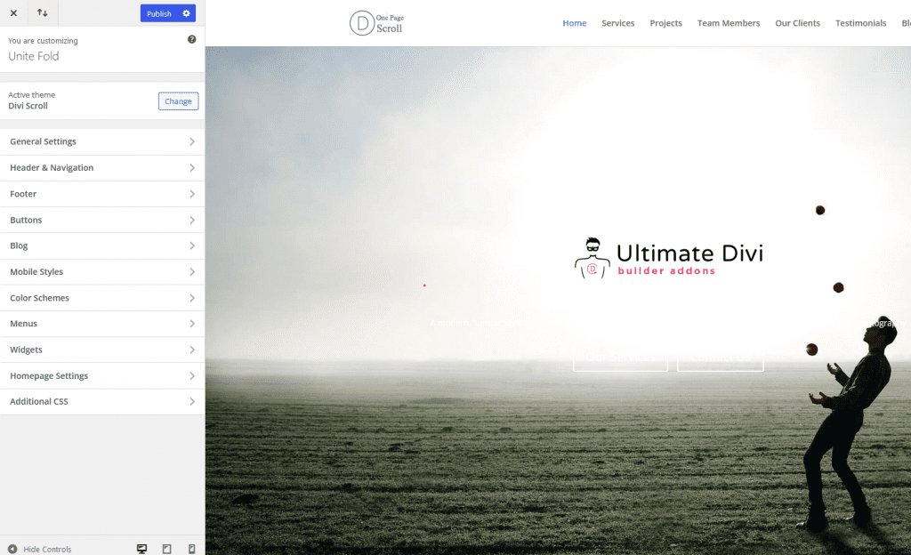 Divi theme customizer