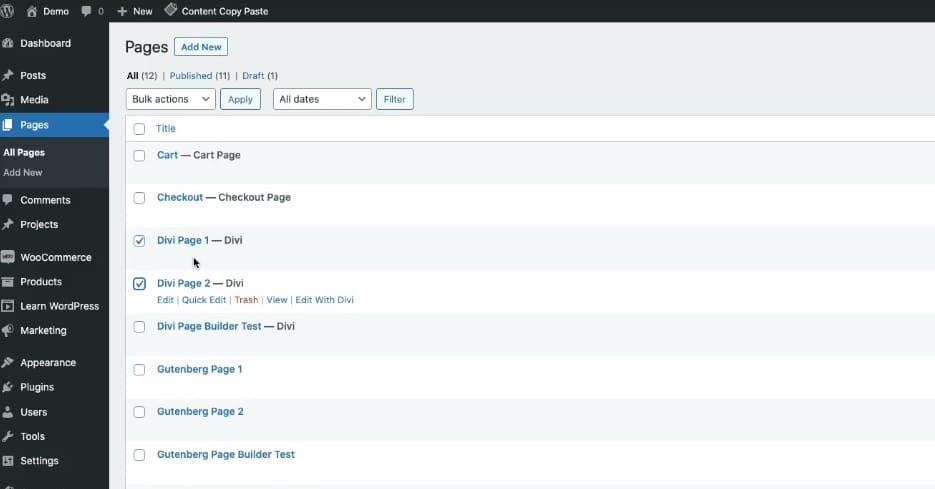 How to Bulk Copy and Paste Pages in WordPress